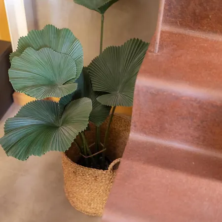 Luxury Urban Craft Apartment Catania